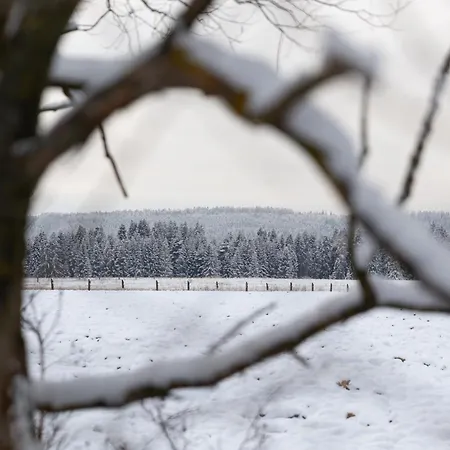 Scenic Village Hideaway - Spacious 2br, 2 Bath, Sleeps 8 With Mountain View And Backyard *