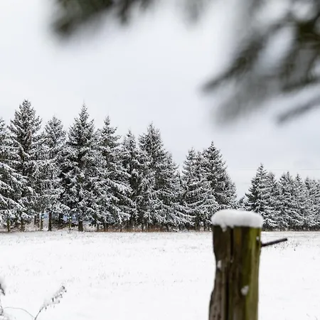 Scenic Village Hideaway - Spacious 2br, 2 Bath, Sleeps 8 With Mountain View And Backyard