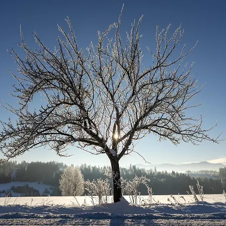 Slow Mountain Family Base - Spacious 2br, 2 Bath, Sleeps 8 With Mountain View And Backyard In Liptov *