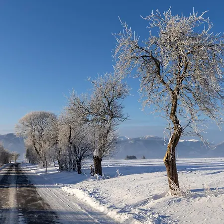 شقة Slow Mountain Family Base - Spacious 2br, 2 Bath, Sleeps 8 With Mountain View And Backyard In Liptov Liptovská Kokava