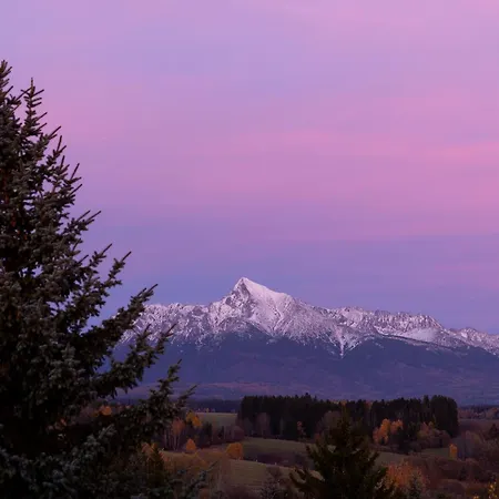 Slow Mountain Family Base - Spacious 2br, 2 Bath, Sleeps 8 With Mountain View And Backyard In Liptov * Liptovská Kokava