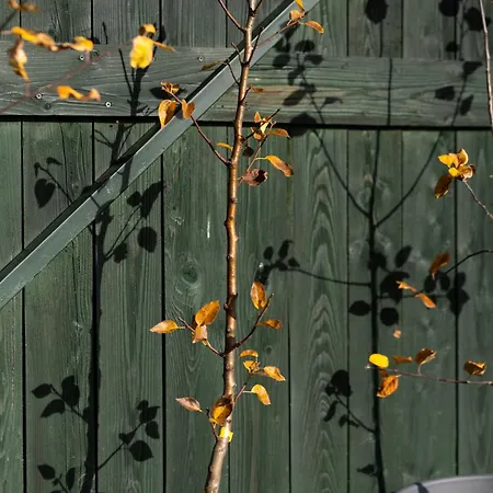 Appartamento Slow Mountain Family Base - Spacious 2Br, 2 Bath, Sleeps 8 With Mountain View And Backyard In Liptov *