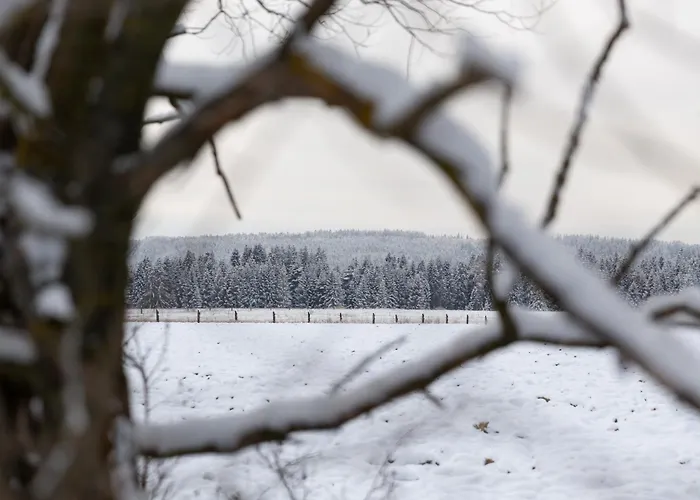 Slow Mountain Family Base - Spacious 2br, 2 Bath, Sleeps 8 With Mountain View And Backyard In Liptov *