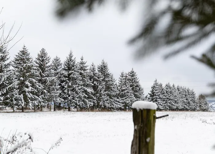 Slow Mountain Family Base - Spacious 2br, 2 Bath, Sleeps 8 With Mountain View And Backyard In Liptov