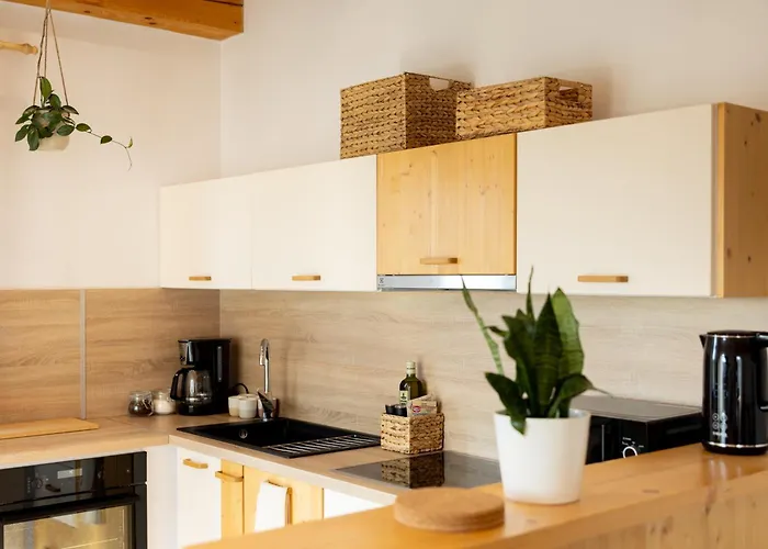 Slow Mountain Family Base - Spacious 2br, 2 Bath, Sleeps 8 With Mountain View And Backyard In Liptov