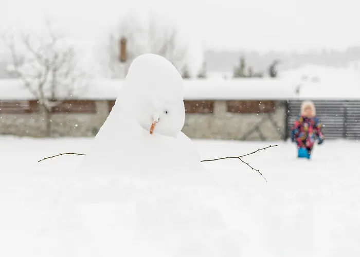 Slow Mountain Family Base - Spacious 2br, 2 Bath, Sleeps 8 With Mountain View And Backyard In Liptov * Liptovská Kokava