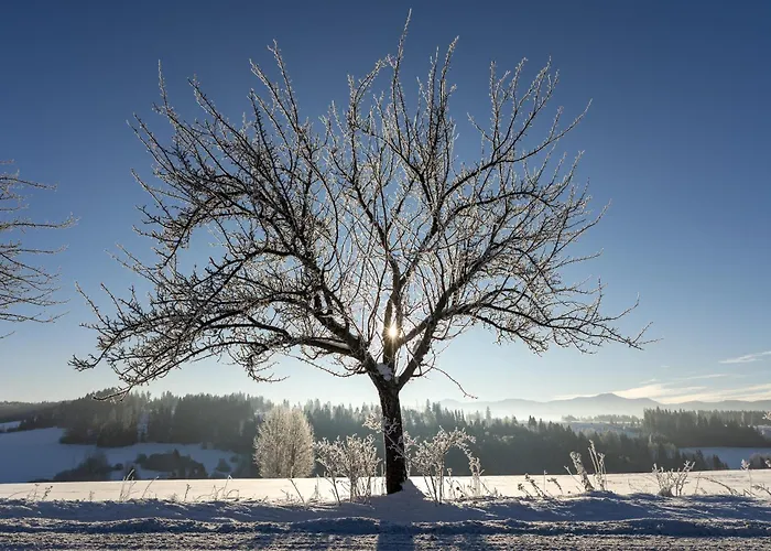 Slow Mountain Family Base - Spacious 2br, 2 Bath, Sleeps 8 With Mountain View And Backyard In Liptov *