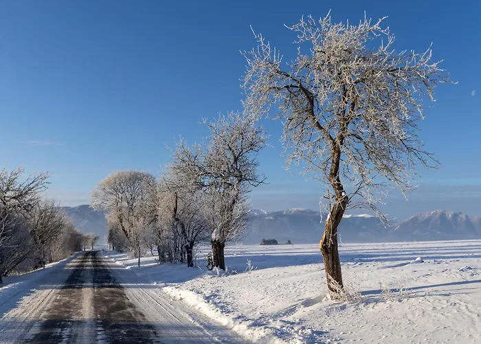 شقة Slow Mountain Family Base - Spacious 2br, 2 Bath, Sleeps 8 With Mountain View And Backyard In Liptov Liptovská Kokava