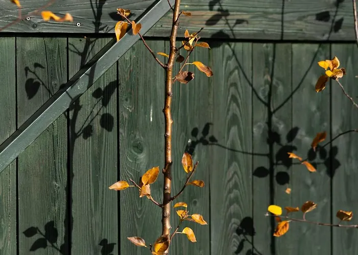 شقة Slow Mountain Family Base - Spacious 2br, 2 Bath, Sleeps 8 With Mountain View And Backyard In Liptov *